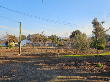 PARCELA CON CASA, 5000 MTS2, SAN JAVIER