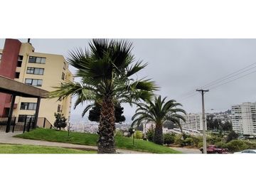 Departamento, Amplio, Vista Al Mar, Abundante Sol.