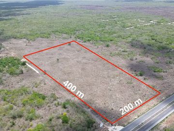 Terreno Venta sobre Carretera Mérida-Cancún