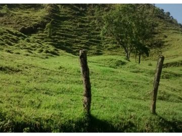 FINCA EN VENTA TENERIFE EL CERRITO VALLE DEL CAUCA