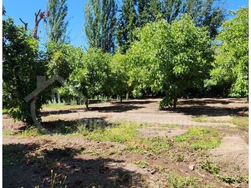 Agrícola en Venta en Parcela A1, Resto Fundo Las Peñas