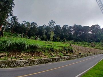 Dijual Tanah Padat Cocok untuk Resort  Mainroad Rancabali ciwidey