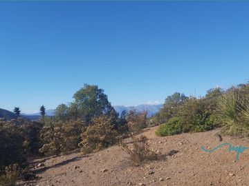 292 HECTAREAS LO ROJAS, LA CRUZ