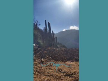 292 HECTAREAS LO ROJAS, LA CRUZ
