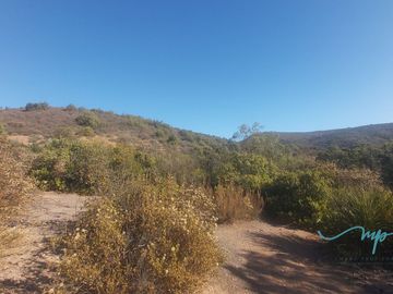 292 HECTAREAS LO ROJAS, LA CRUZ