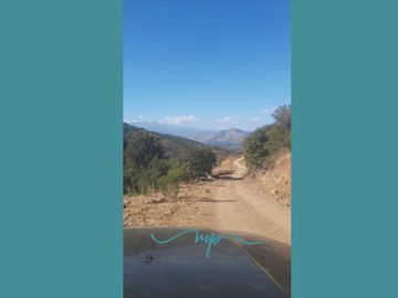 292 HECTAREAS LO ROJAS, LA CRUZ