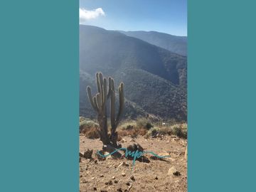292 HECTAREAS LO ROJAS, LA CRUZ