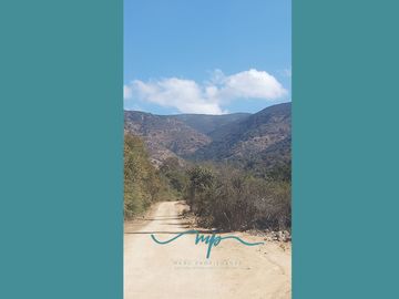 292 HECTAREAS LO ROJAS, LA CRUZ