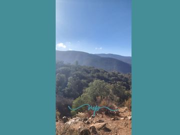 292 HECTAREAS LO ROJAS, LA CRUZ