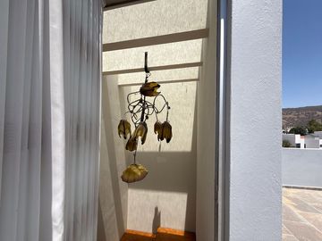 Casa en venta en Bosque Real