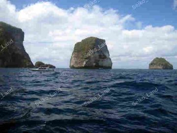 Tanah Luas View Laut Di Nusa Penida, Cocok Untuk Usaha + Investasi