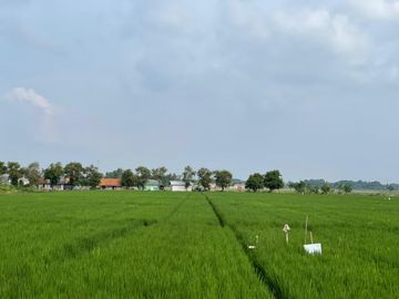 DIJUAL Kavling Perumahan Cikarang