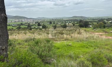 TERRENO CON ARBOLES DE MANZANA PRODUCIENDO