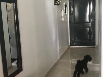 Depto.tipo casa de 4 ambientes en Venta en Palermo