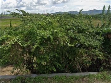 Dijual Tanah Industri di  Cilegon