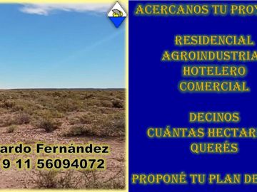 INVERSIÓN EN VACA MUERTA