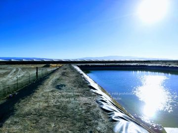 Terreno Rancho en venta, Parras Coah.