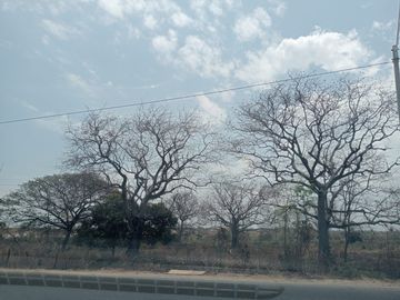 Venta Lote Industrial Carretera Juan Mina Barranquilla Atlántico Colombia