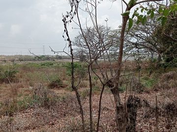 Venta Lote Industrial Carretera Juan Mina Barranquilla Atlántico Colombia