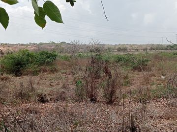 Venta Lote Industrial Carretera Juan Mina Barranquilla Atlántico Colombia