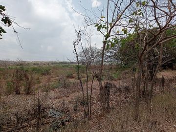 Venta Lote Industrial Carretera Juan Mina Barranquilla Atlántico Colombia