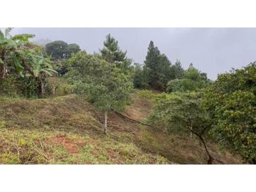 VENTA DE LOTE EN DAPA SECTOR LAS FLECHAS CN W:9305864