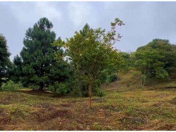 VENTA DE LOTE EN DAPA SECTOR LAS FLECHAS CN W:9305864