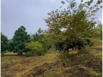 VENTA DE LOTE EN DAPA SECTOR LAS FLECHAS CN W:9305864
