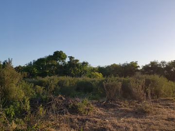 LOTE EN PUNTA INDIO AMPLIO