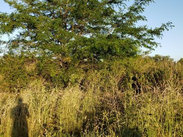 LOTE EN PUNTA INDIO AMPLIO