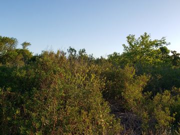 LOTE EN PUNTA INDIO AMPLIO