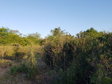 LOTE EN PUNTA INDIO AMPLIO
