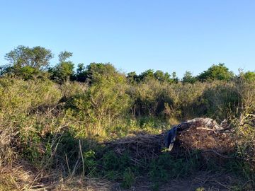 LOTE EN PUNTA INDIO AMPLIO
