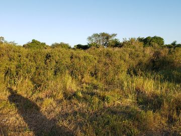 LOTE EN PUNTA INDIO AMPLIO