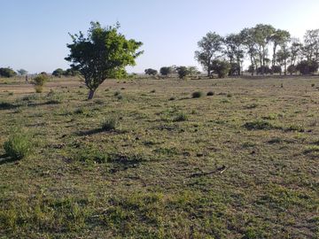 VENDO LOTES EN PUNTA INDIO IMPERDIBLE