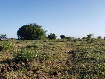VENDO LOTES EN PUNTA INDIO IMPERDIBLE