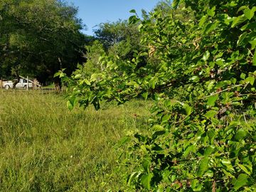 LOTE EN PUNTA INDIO OPORTUNIDAD