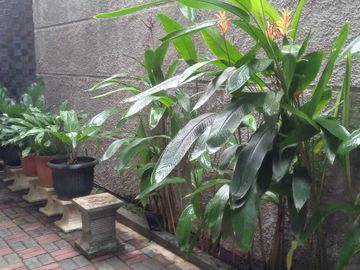 Dijual Cepat Rumah di Kemang Pratama 1 Bekasi