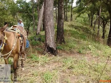 Rancho de 800 hectáreas con recursos naturales abundantes en venta, en Chiapas