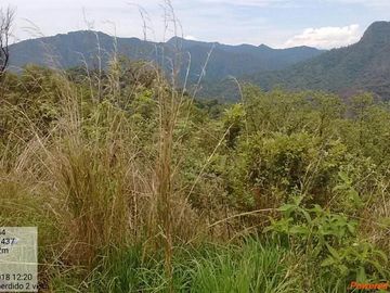 Rancho de 800 hectáreas con recursos naturales abundantes en venta, en Chiapas
