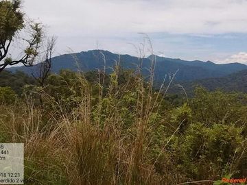Rancho de 800 hectáreas con recursos naturales abundantes en venta, en Chiapas
