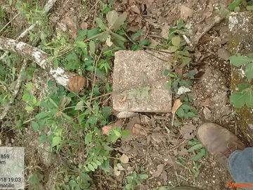Rancho de 800 hectáreas con recursos naturales abundantes en venta, en Chiapas