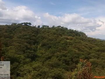 Rancho de 800 hectáreas con recursos naturales abundantes en venta, en Chiapas