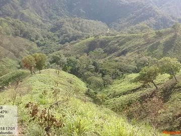 Rancho de 800 hectáreas con recursos naturales abundantes en venta, en Chiapas