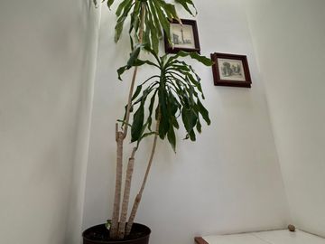 CASA EN VENTA EN LOMAS DE ANGELOPOLIS ZONA AZUL