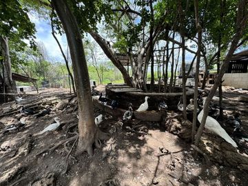 Quinta en venta en Seyé, Yucatán