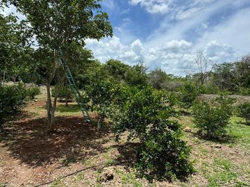 Quinta en venta en Seyé, Yucatán