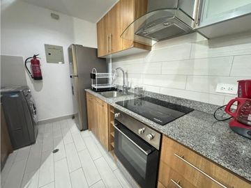República de El Salvador, Suite Amoblada en Venta, 60m2, 1 Habitación