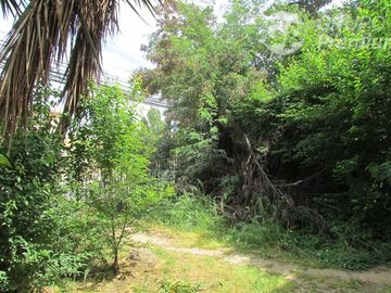 Casa en Venta en las violetas con parinacota