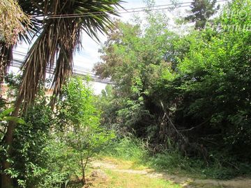 Casa en Venta en las violetas con parinacota